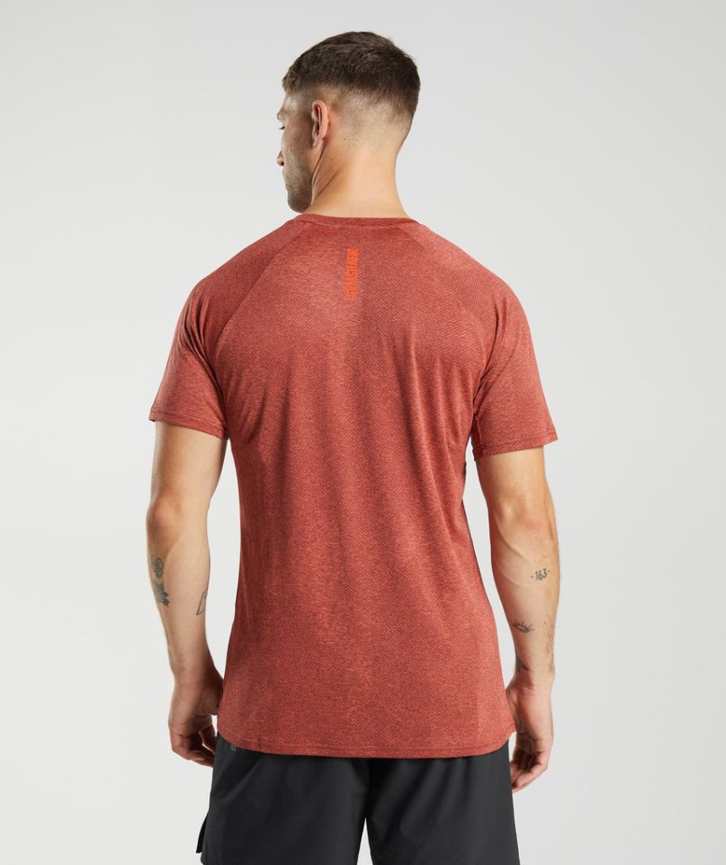 Men's Gymshark Apex T-Shirts Brown | CA 0D718N